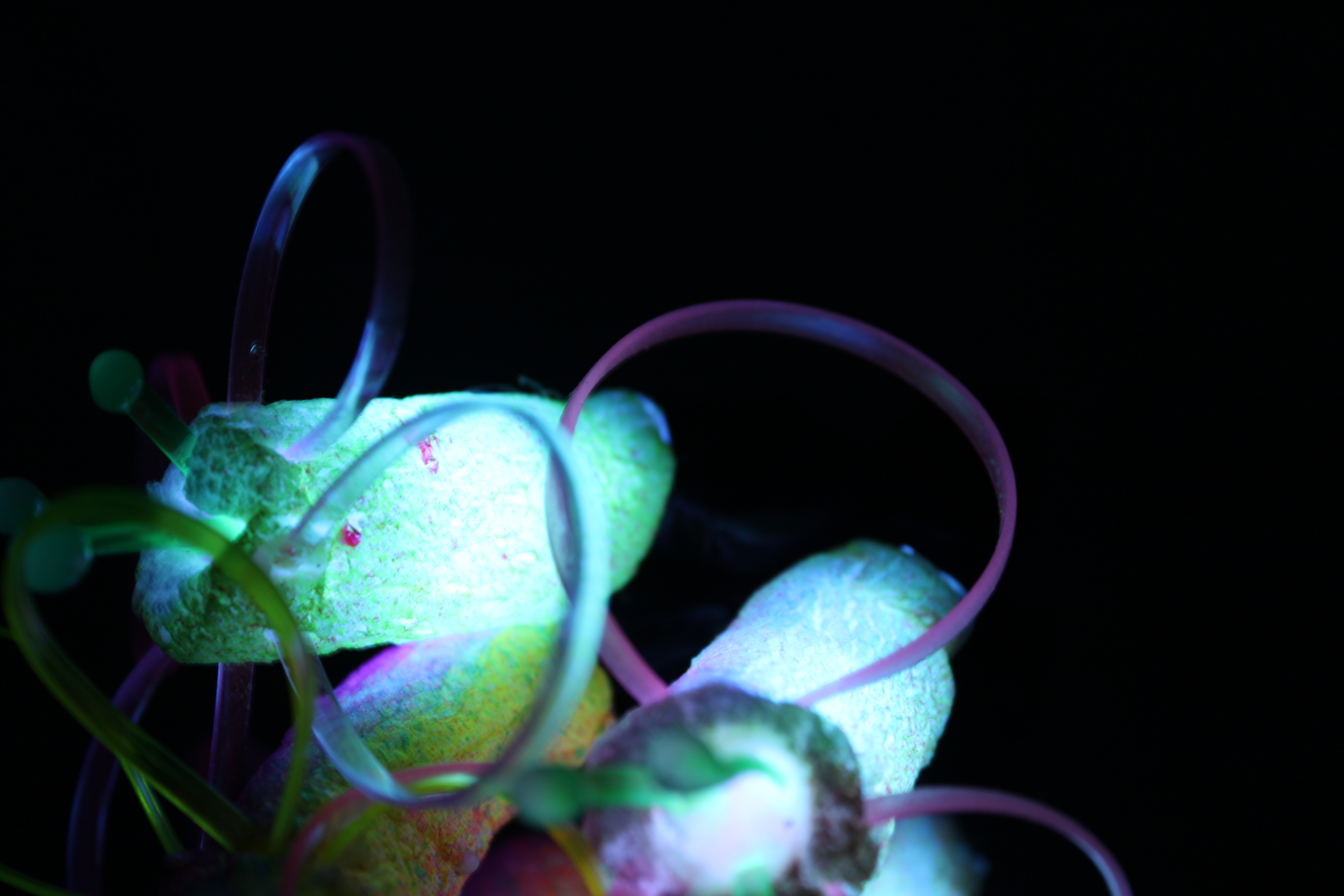 LED Flower process 073.JPG