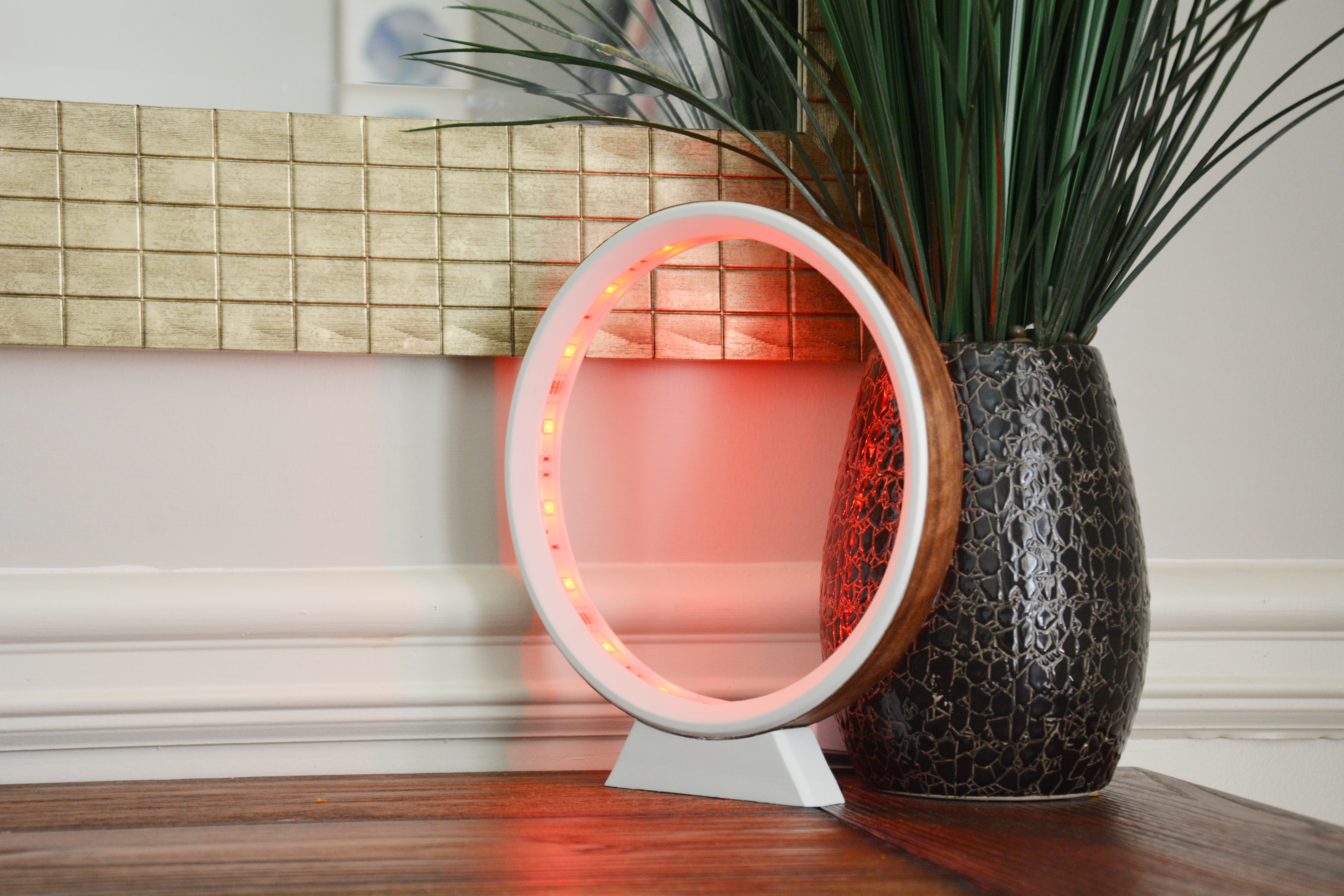 LED Ring Lamp-red light.jpg