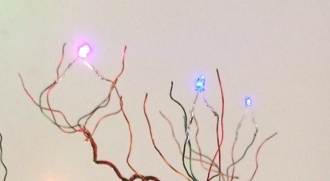 LED on branch.jpg