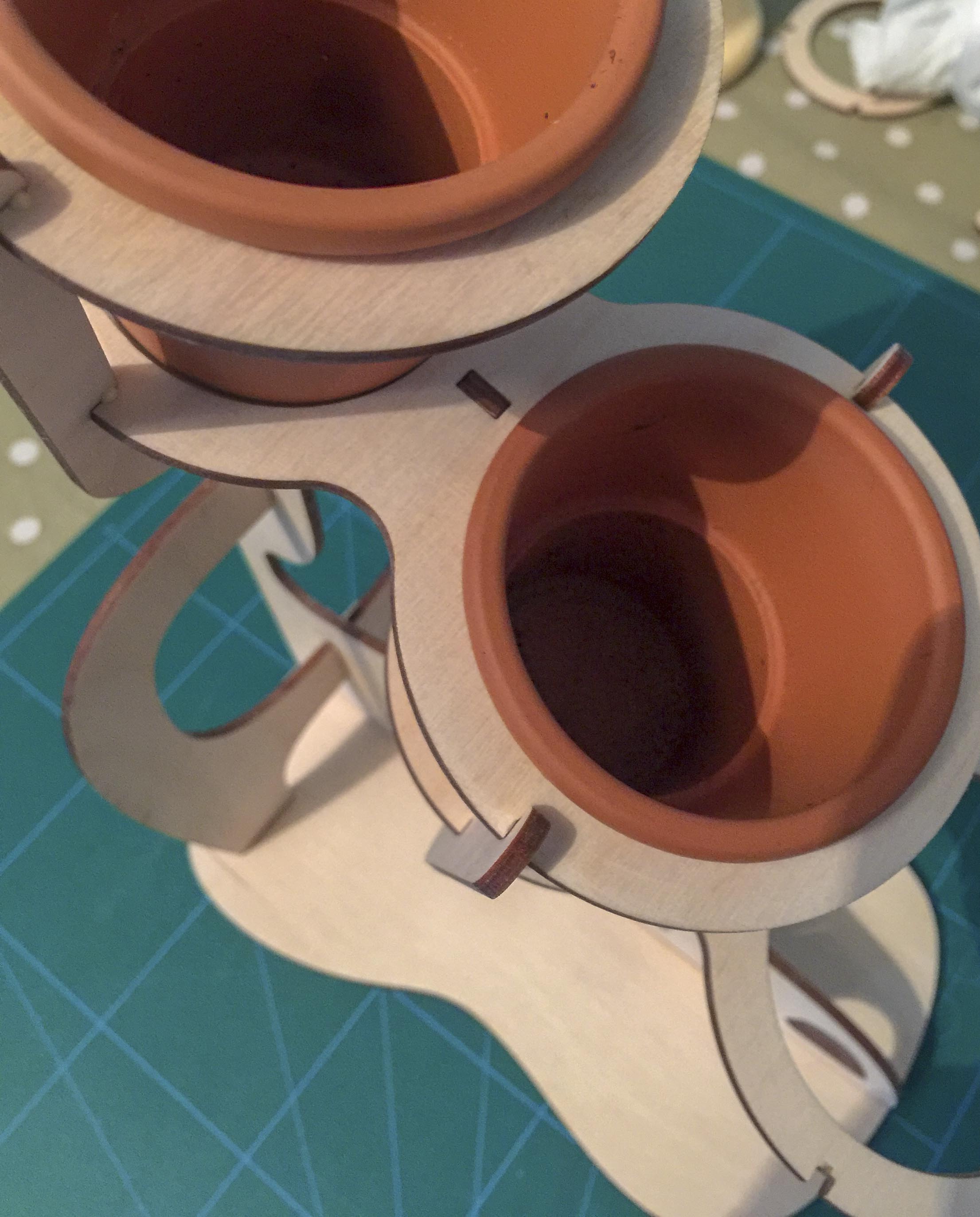Laser Cut Cactus Planter_23.jpg