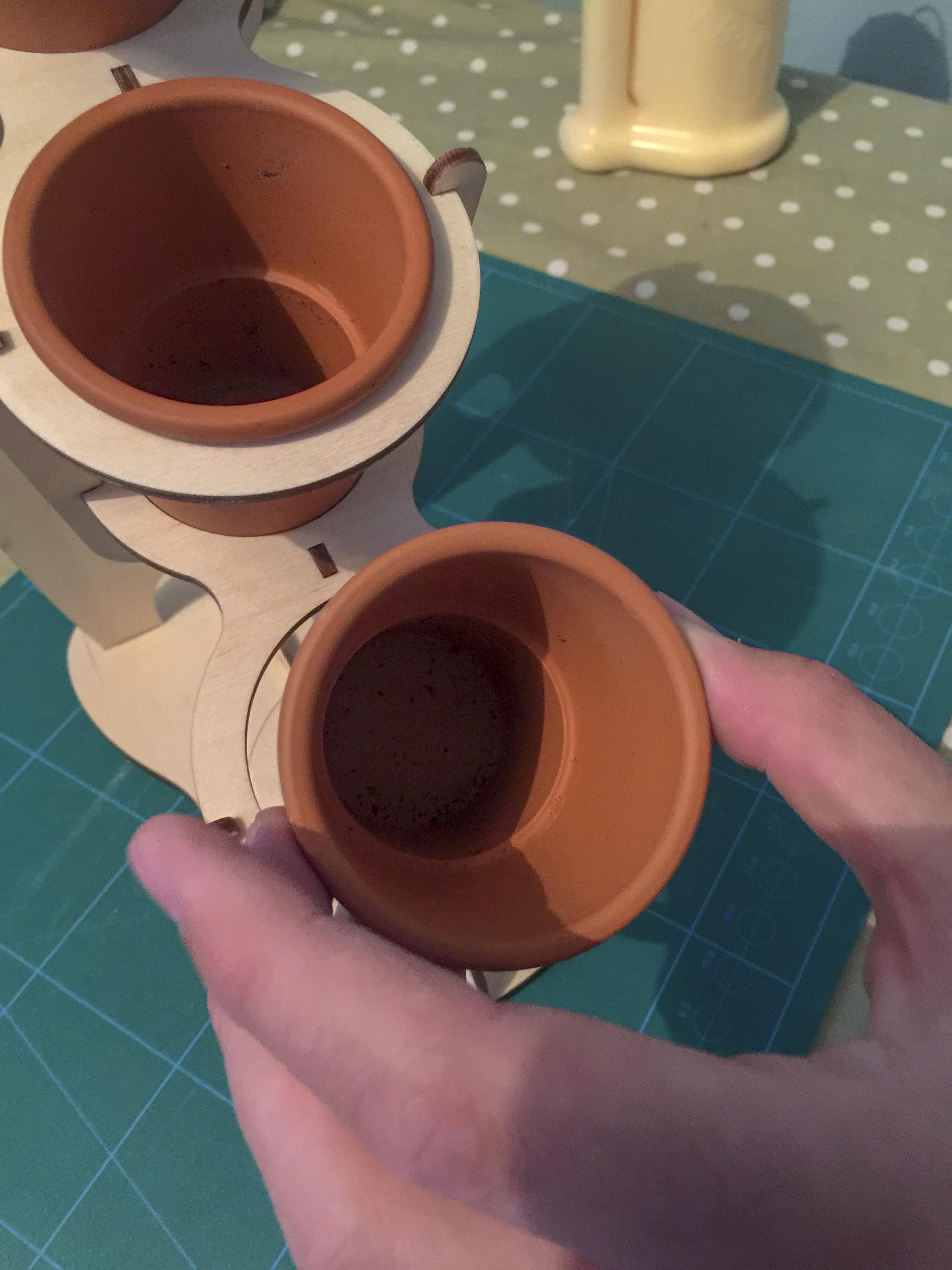Laser Cut Cactus Planter_24.jpg