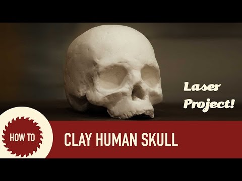 Laser Cut Cardboard and Clay Human Skull: Full Spectrum &amp;amp; 123D Make