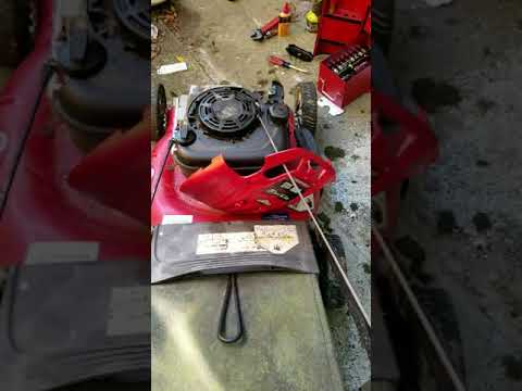 Lawn Mower Tune Up