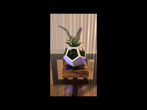 Levitating Flower Pot