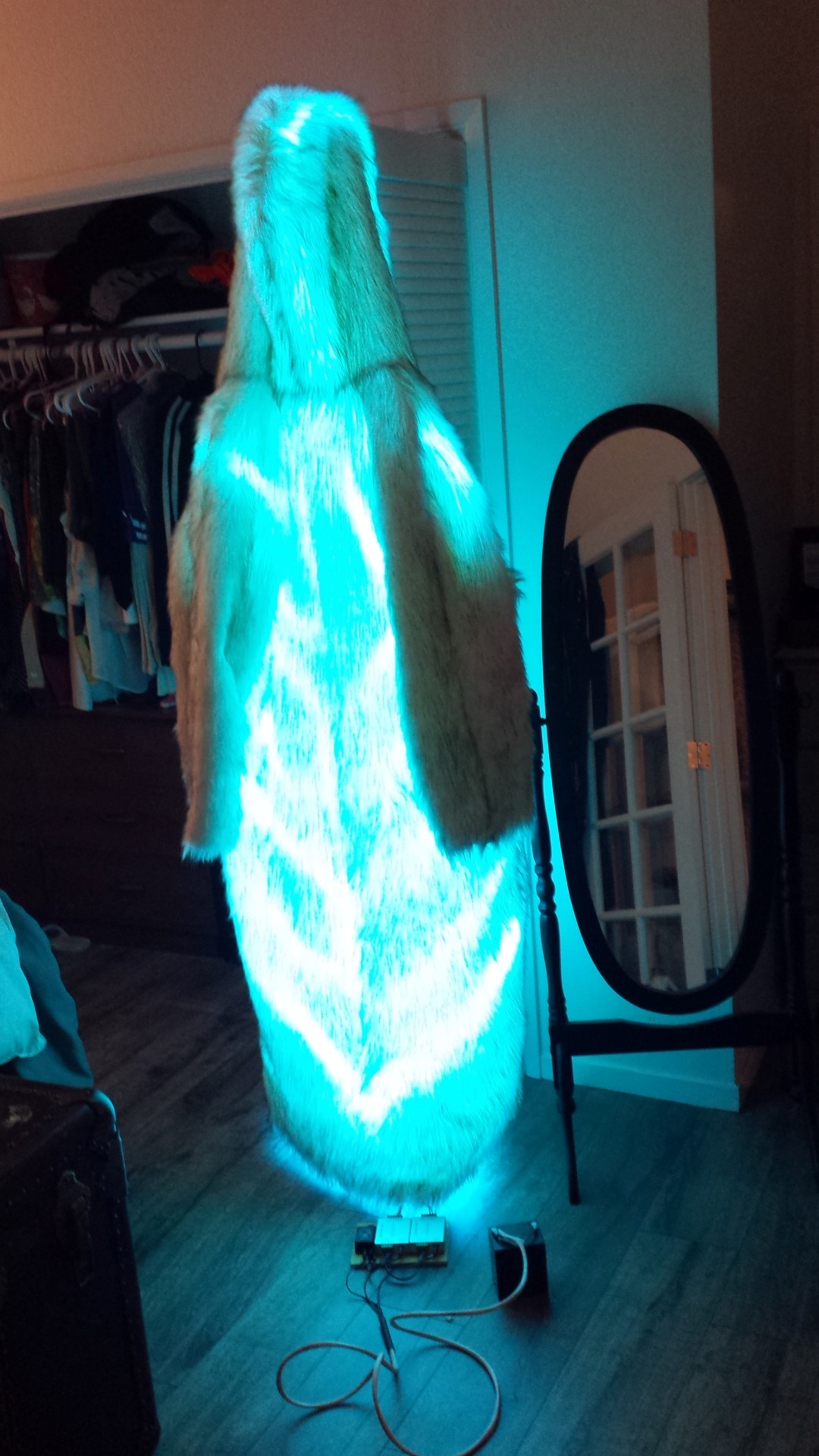 Light Cloak (10) (Large).jpg