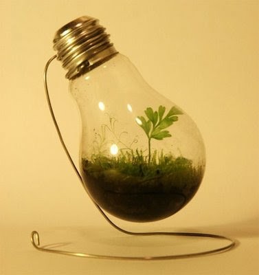 Light-Bulb-Terrarium- (5).jpg