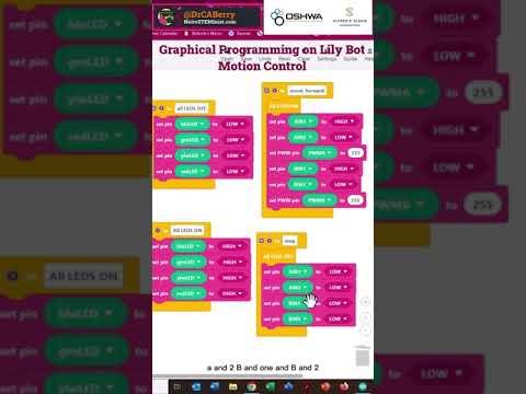 Lily&infin;Bot: Graphical Programming Motion control on LilyBot