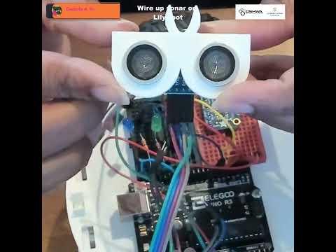 Lily-Bot Sonar Wiring