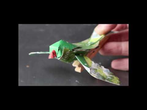 Little Green Peg Parrot