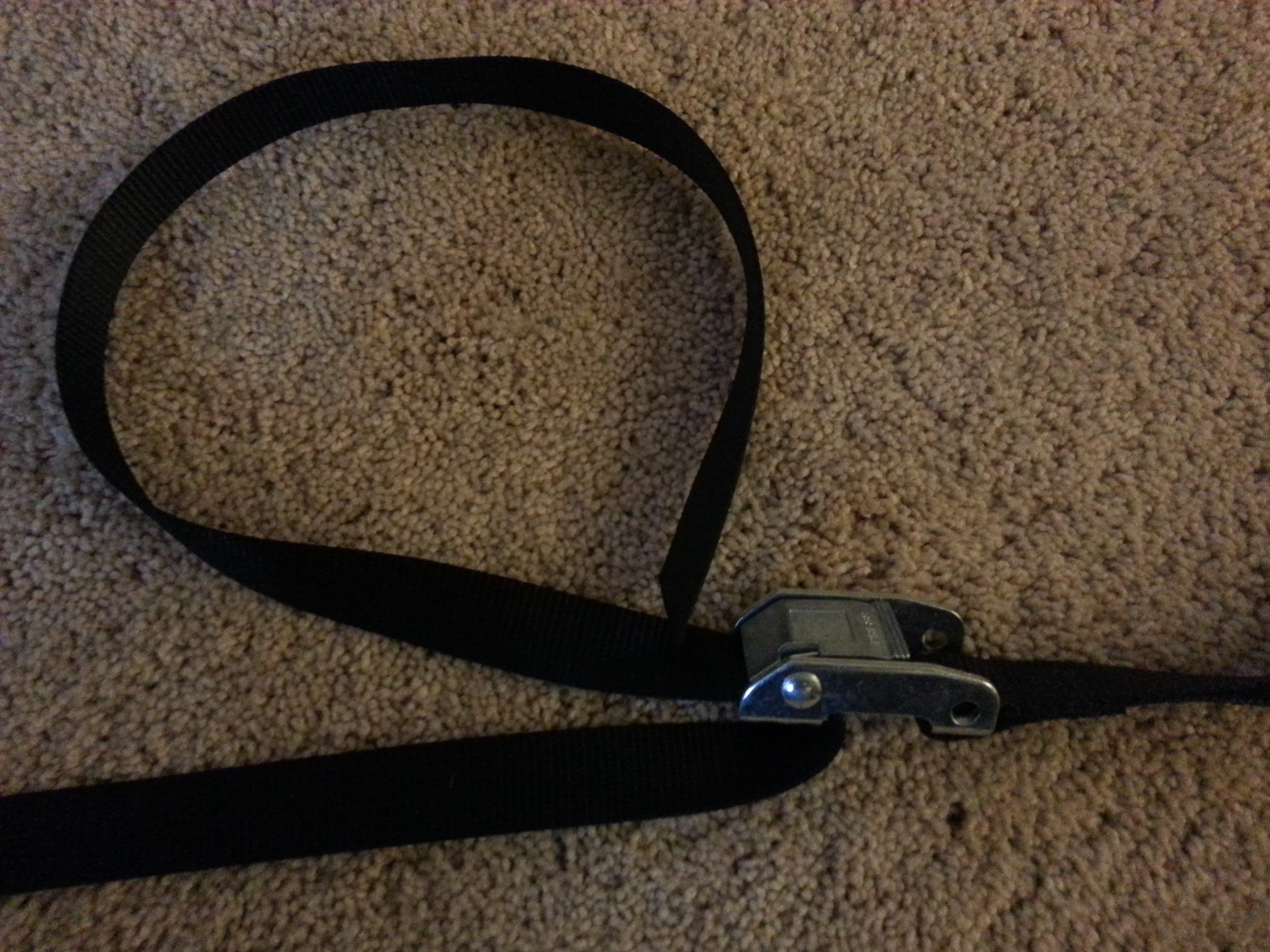 Loop Strap with Cam Buckles.jpg