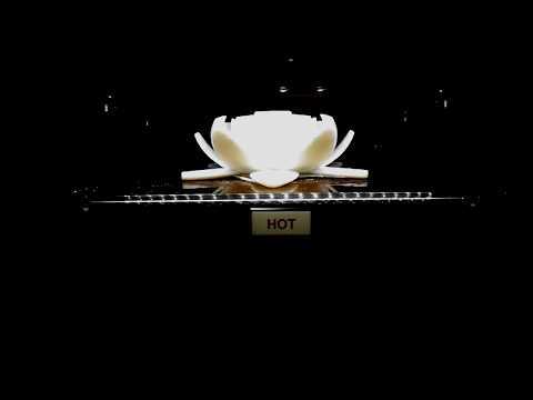 Lotus Flower - 3D print Timelapse on Craftbot XL