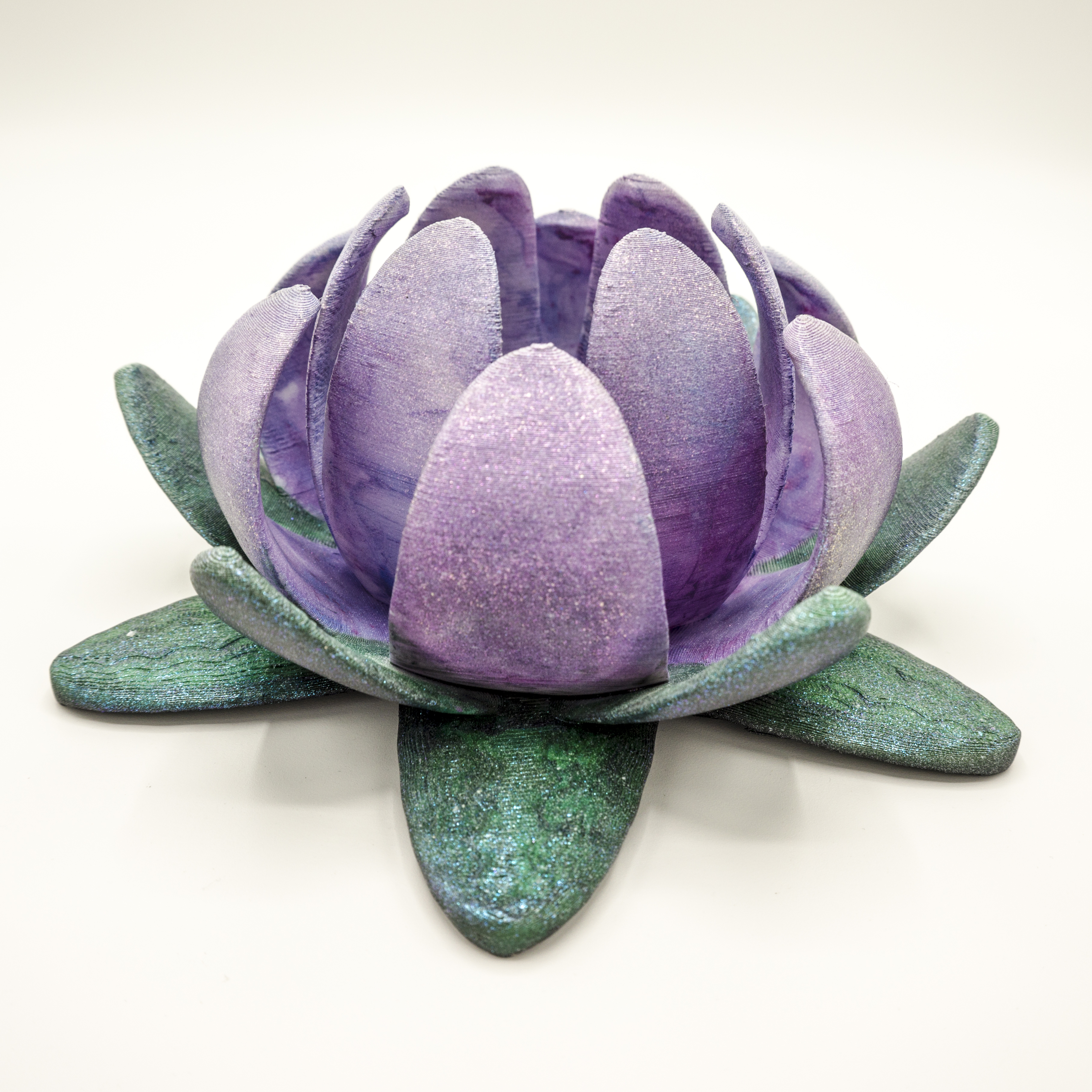 Lotus flower 1.jpg