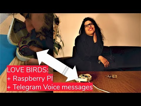 Love Birds : a Box to Send and Receive Telegram Audio Message