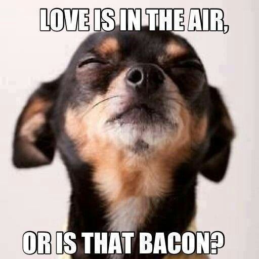 Love bacon.jpg