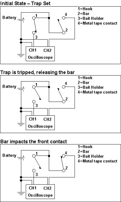 MT_Schematic.gif