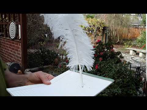 Magic Writing Quill