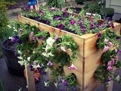 Make an Inexpensive Planter Box