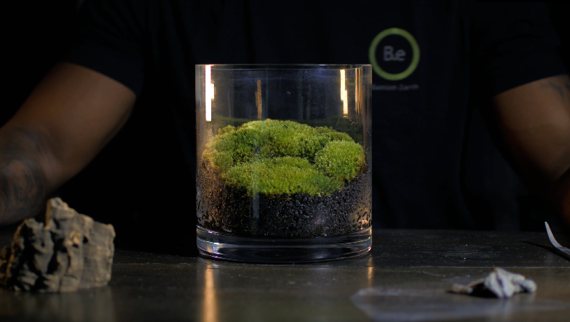 Making A Moss Terrarium.PNG