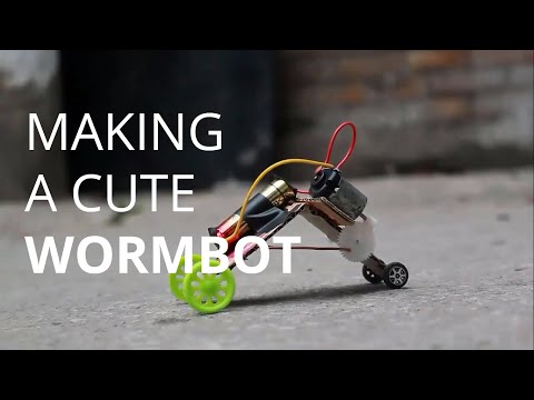 Making a Cute Wormbot