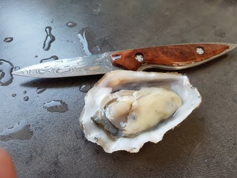 Making a damasteel oyster knife