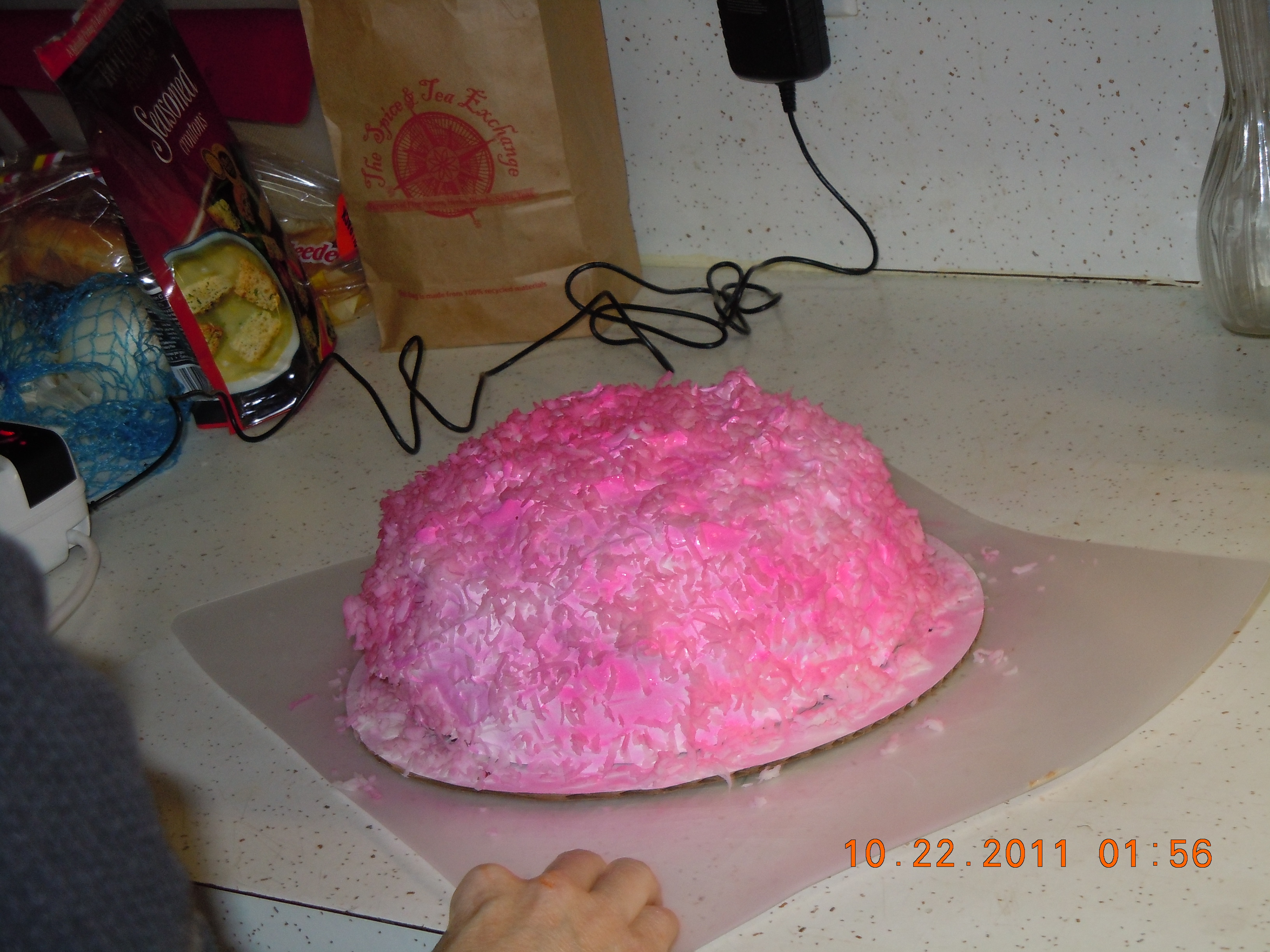 Making of Sarah's Birthday cake 2011 4.JPG