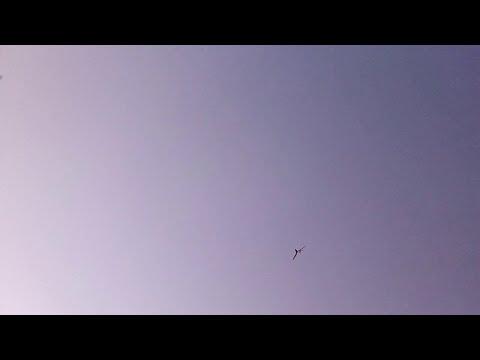 Maple seed glider test flight