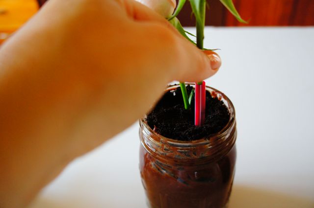 Mason Jar Flower Cakes - 14.jpg