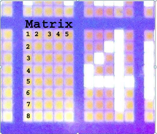 Matrix.jpg