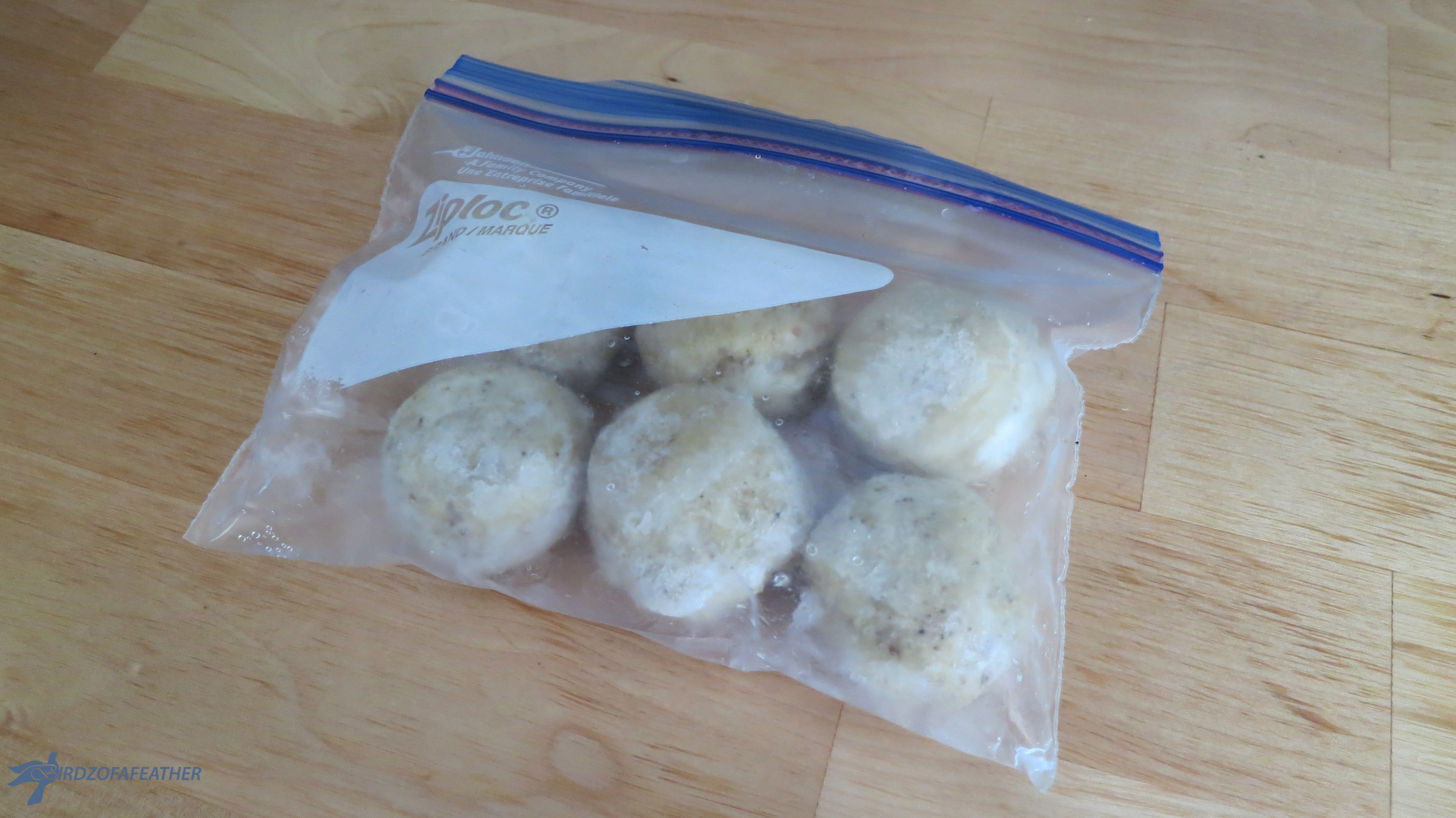 Matzo Balls_Frozen 004_BOF.jpg