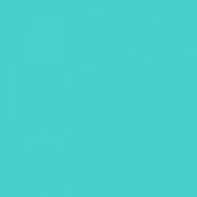 Medium_Turquoise_429296_i0.png