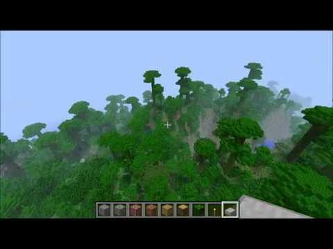 Minecraft Jungle Seed