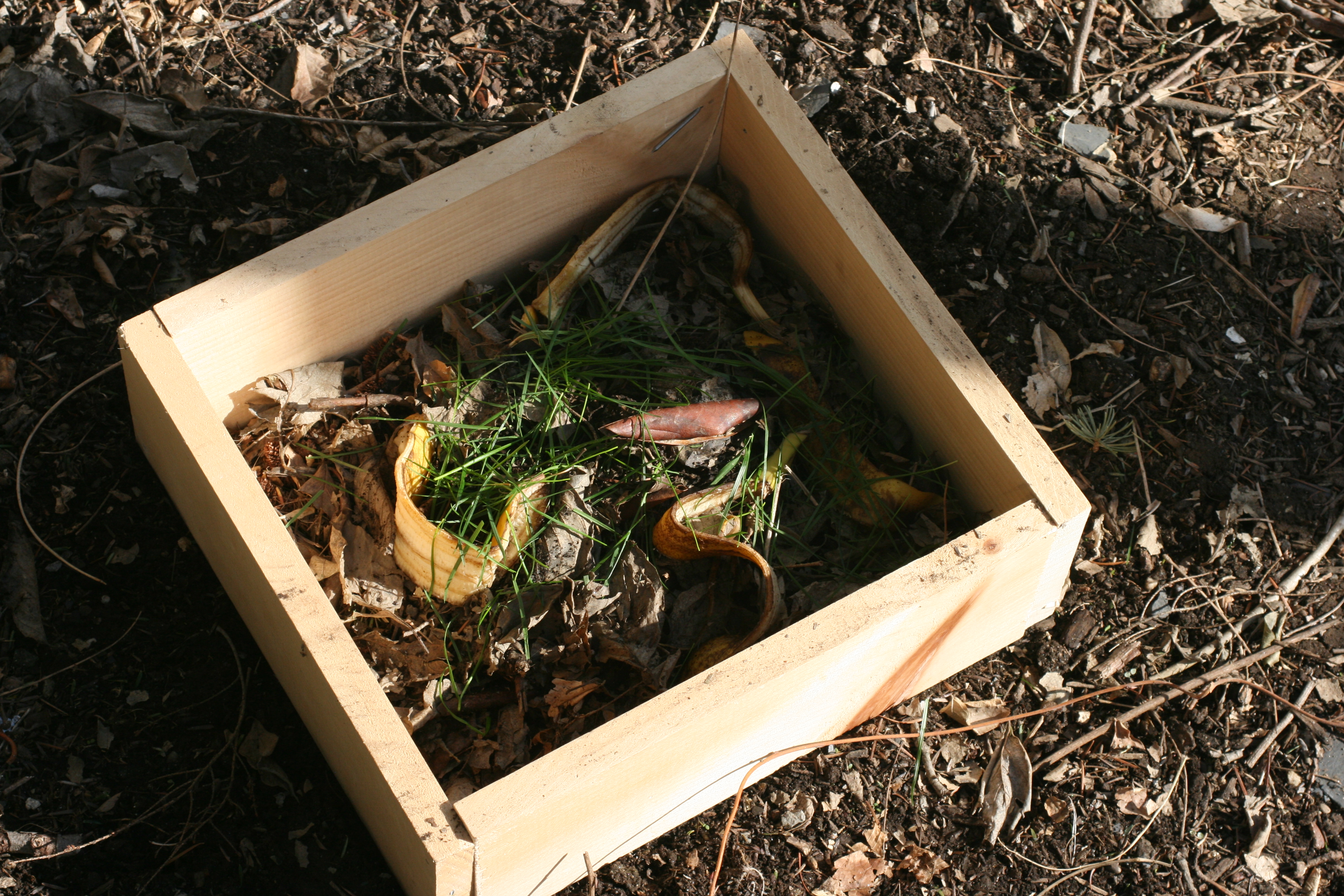 Mini Wooden Compost Bin 020.jpg