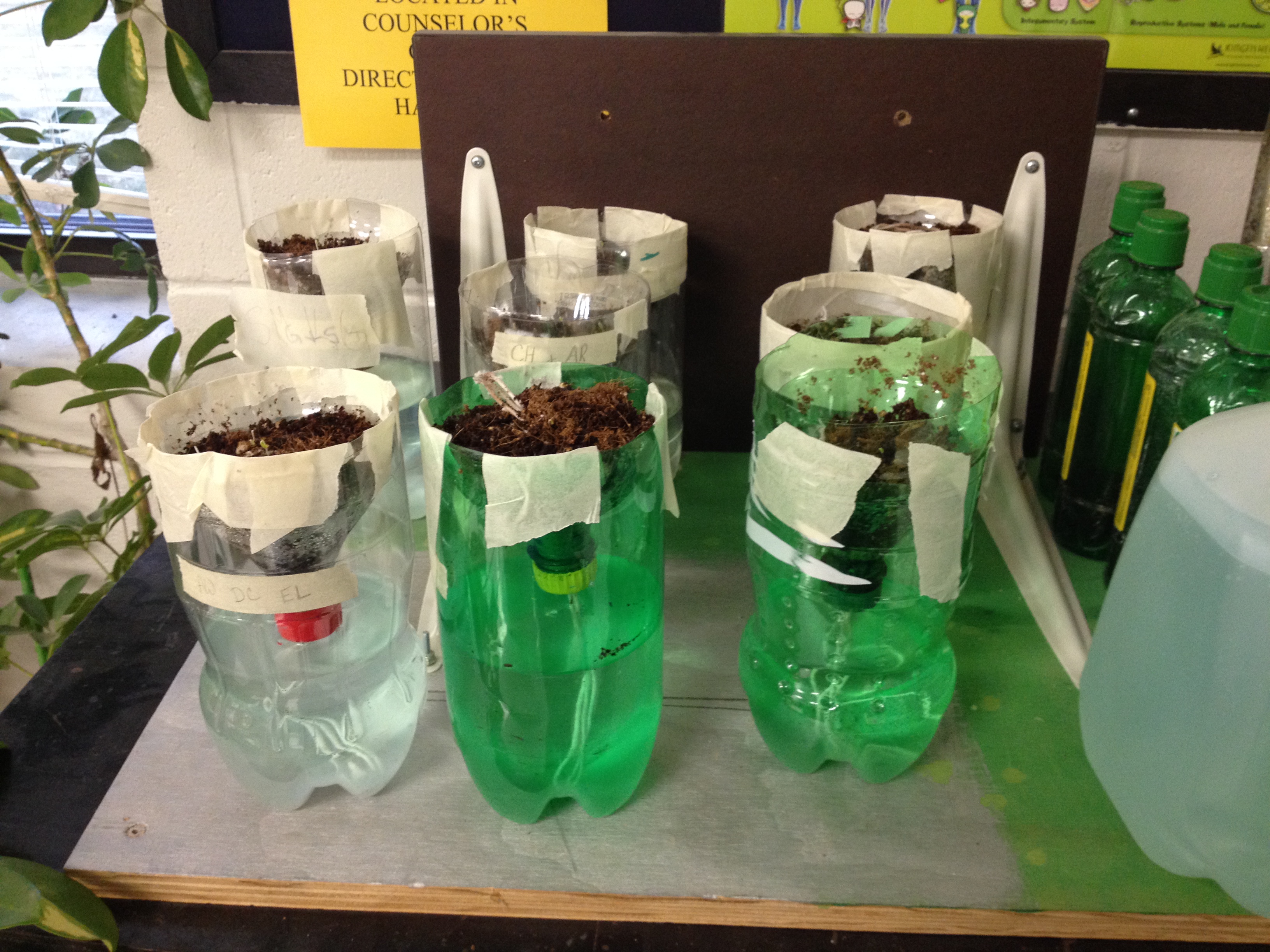 Mini hydroponics unit 2.JPG