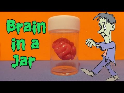 Miniature Brain in a Jar - DIY LPS Crafts, Easy Doll Crafts &amp;amp; Dollhouse Accessories