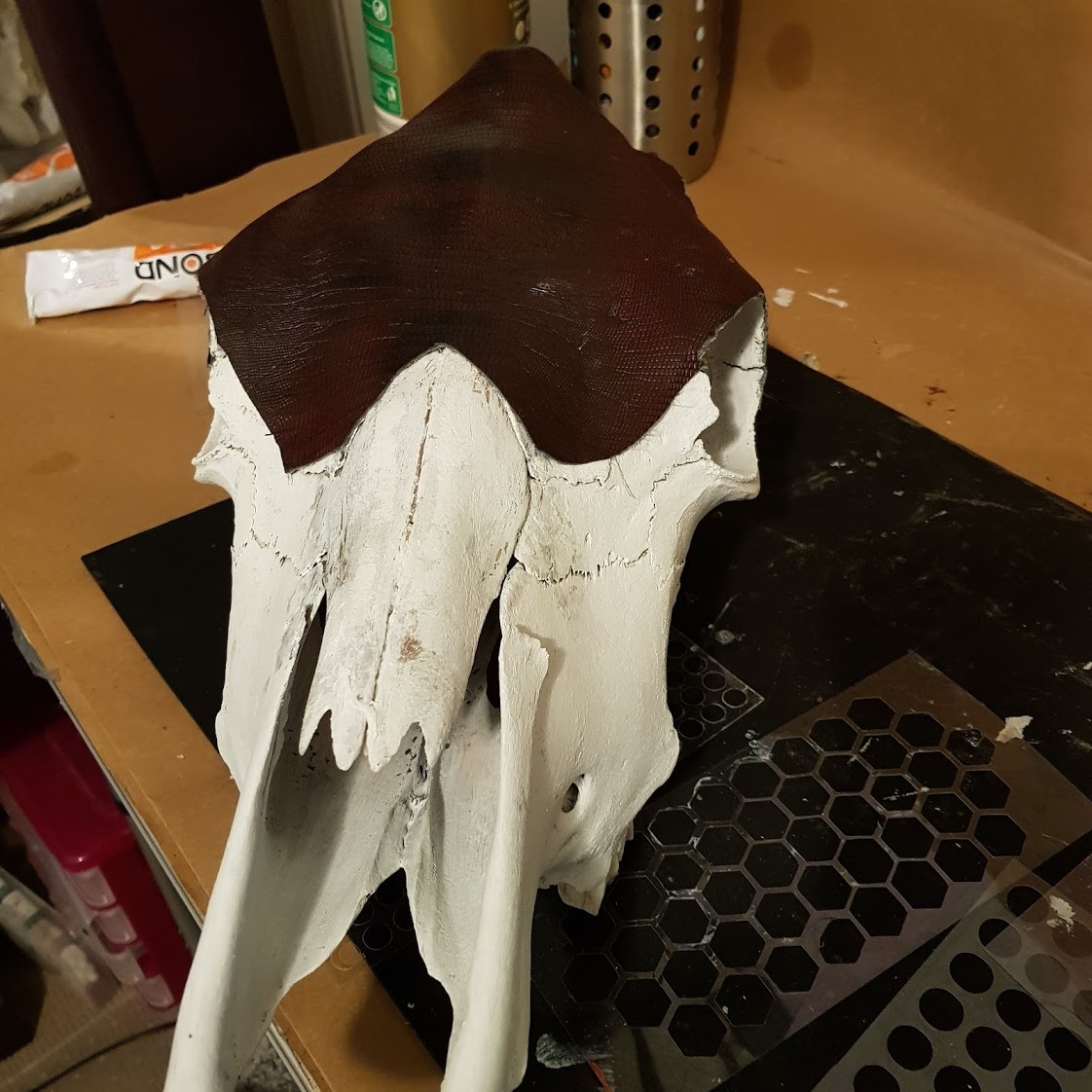 Mixed media cow skull (2).jpg