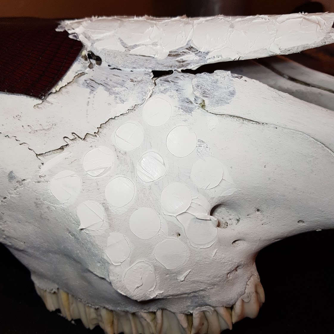 Mixed media cow skull (4).jpg