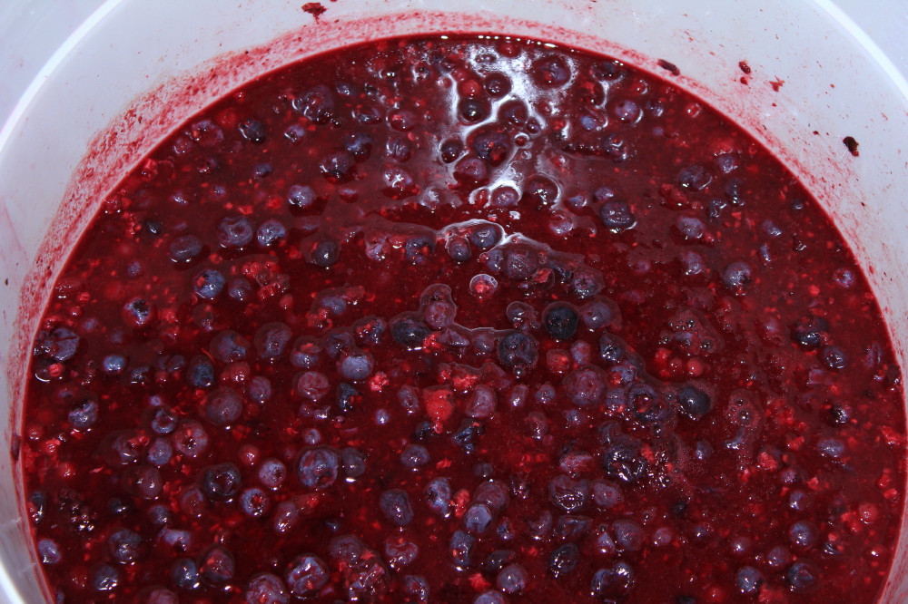 Mixed_Berries_ready_for_press.jpg