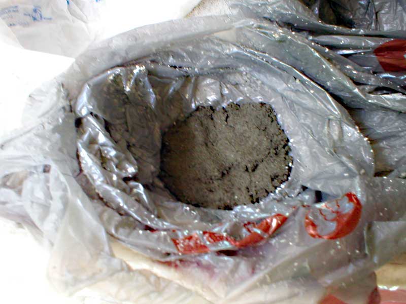 Mold1.jpg