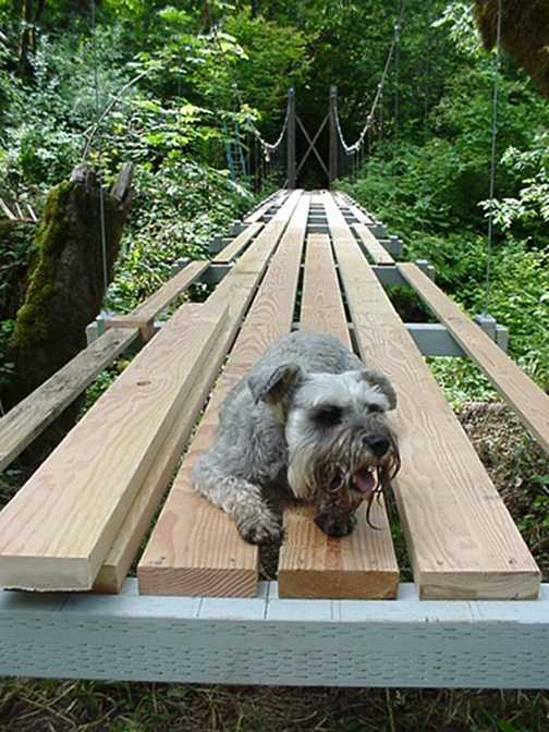 MollieDecking-BridgeInstructable.jpg