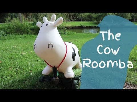 Mooomba - The Cow Roomba