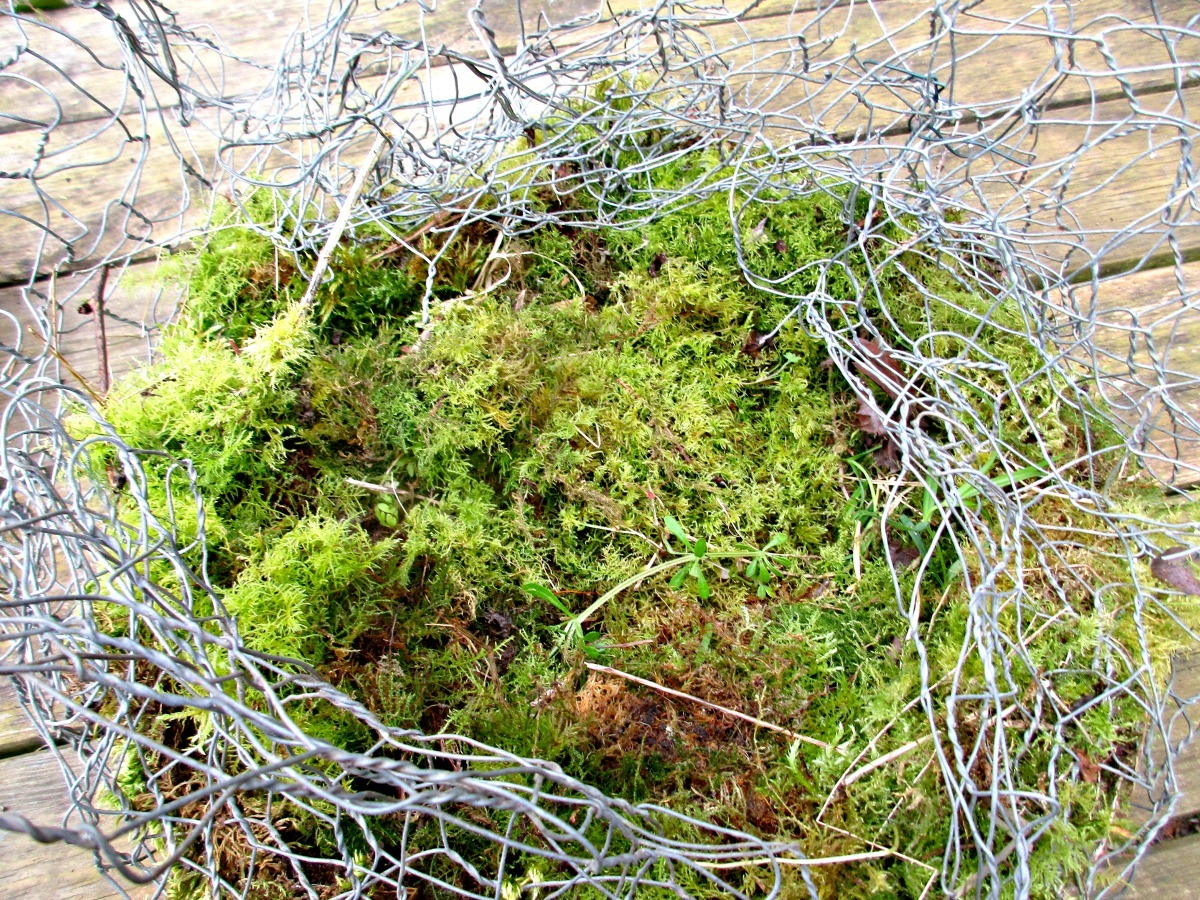 Moss Toadstool - fill wire with moss.jpg