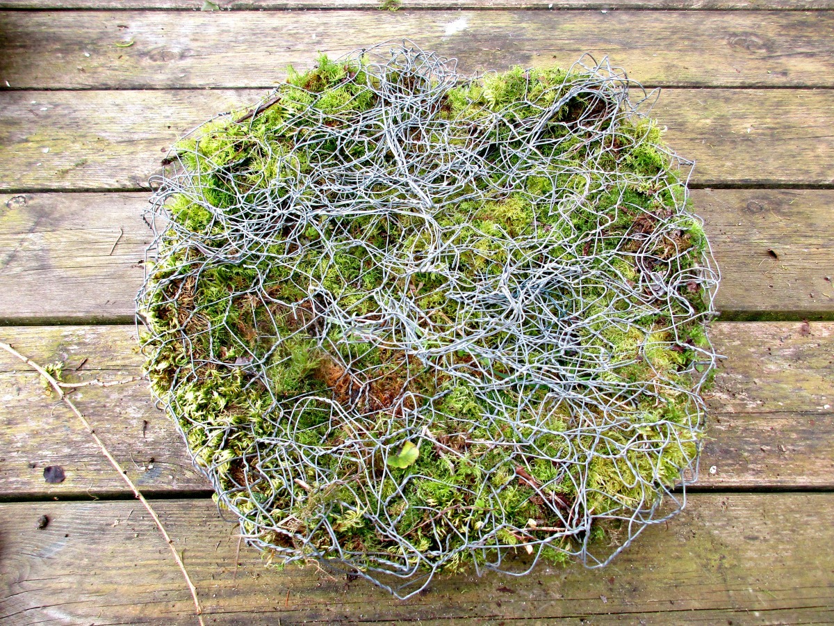 Moss Toadstool - fold wire in securely.jpg