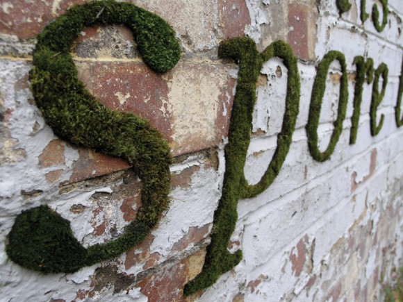 Moss-Graffiti-Art-by-Anna-Garforth-8.jpeg