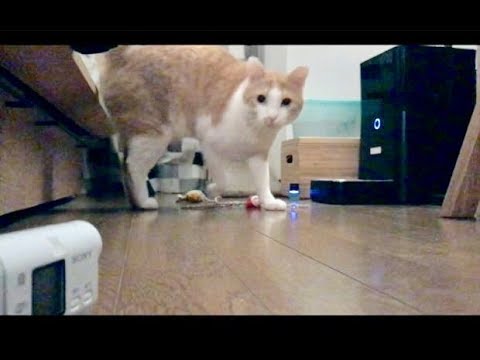 Motion Controlled Camera Using MESH