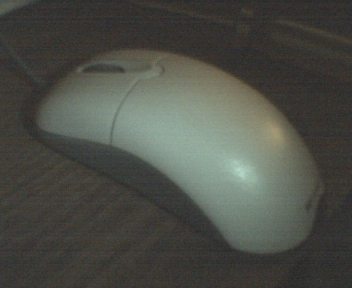 Mouse1.jpg