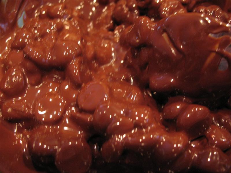 Mousse 011 (Medium).jpg