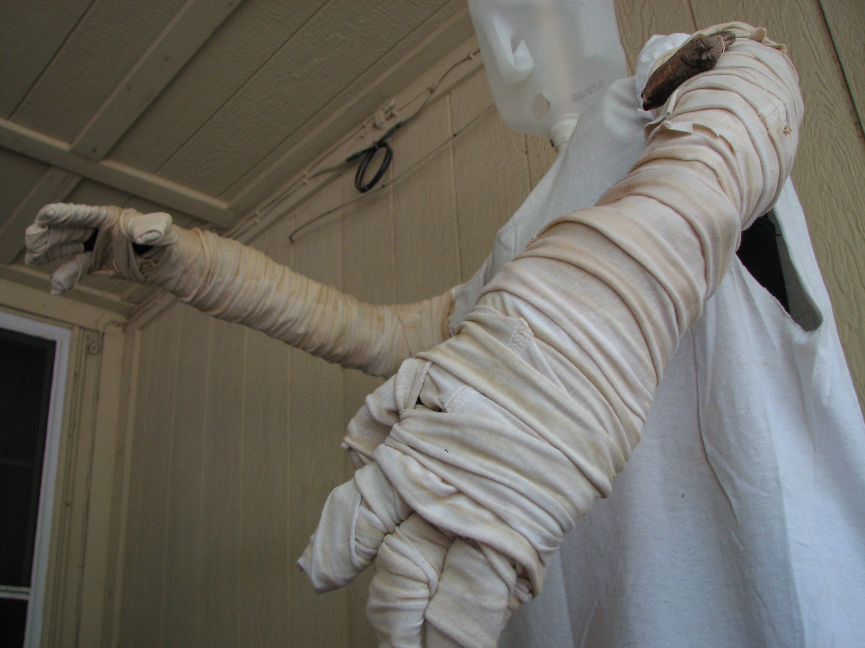 Mummy 2011 (68).JPG