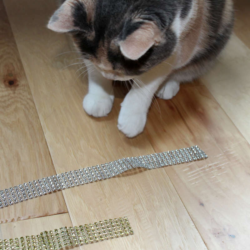 My Kitty inspecting the ribbon I bought for the wine bottle sleeve.jpg