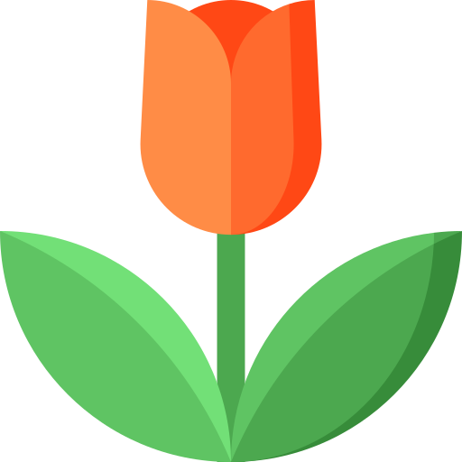 My tulip.png