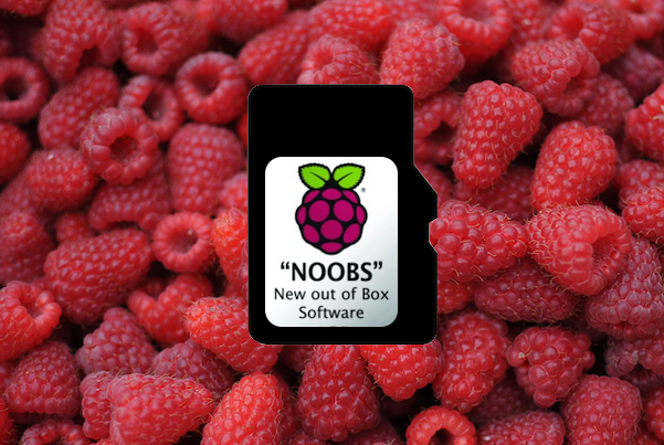 NOOBS and Berries.png